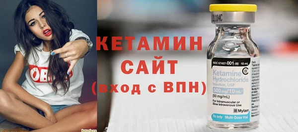 меф Ельня