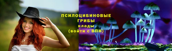сатива Заводоуковск