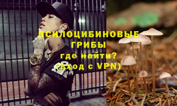 меф Ельня