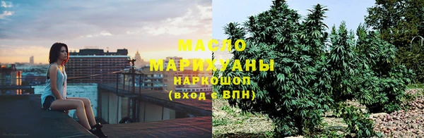 меф Ельня