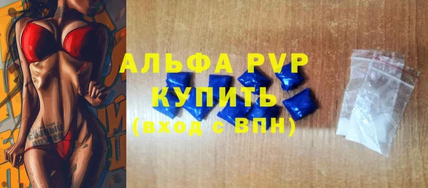 меф Ельня