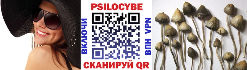 Галлюциногенные грибы MAGIC MUSHROOMS  Купить  Ивантеевка 